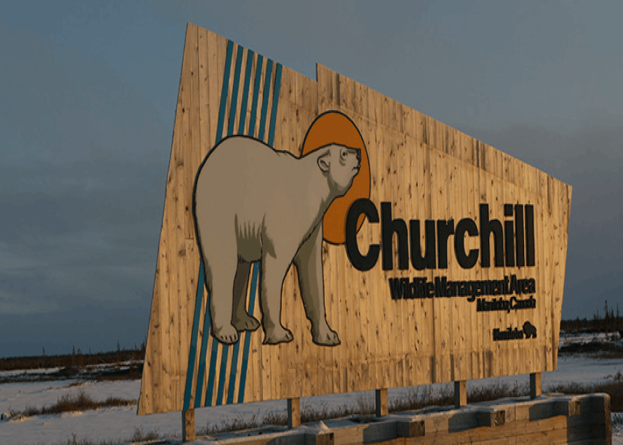 Ultimate Polar Bear Adventure | Explore Churchill with Lazy Bear
